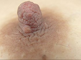 300人の乳首 3　サンプル画像09